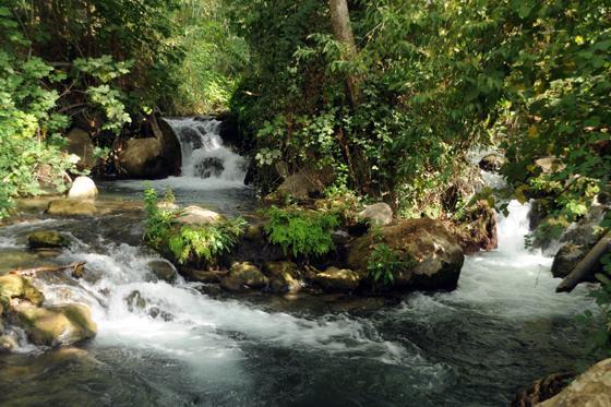 Magical In The Galilee Motell Qiryat Shemona Exteriör bild