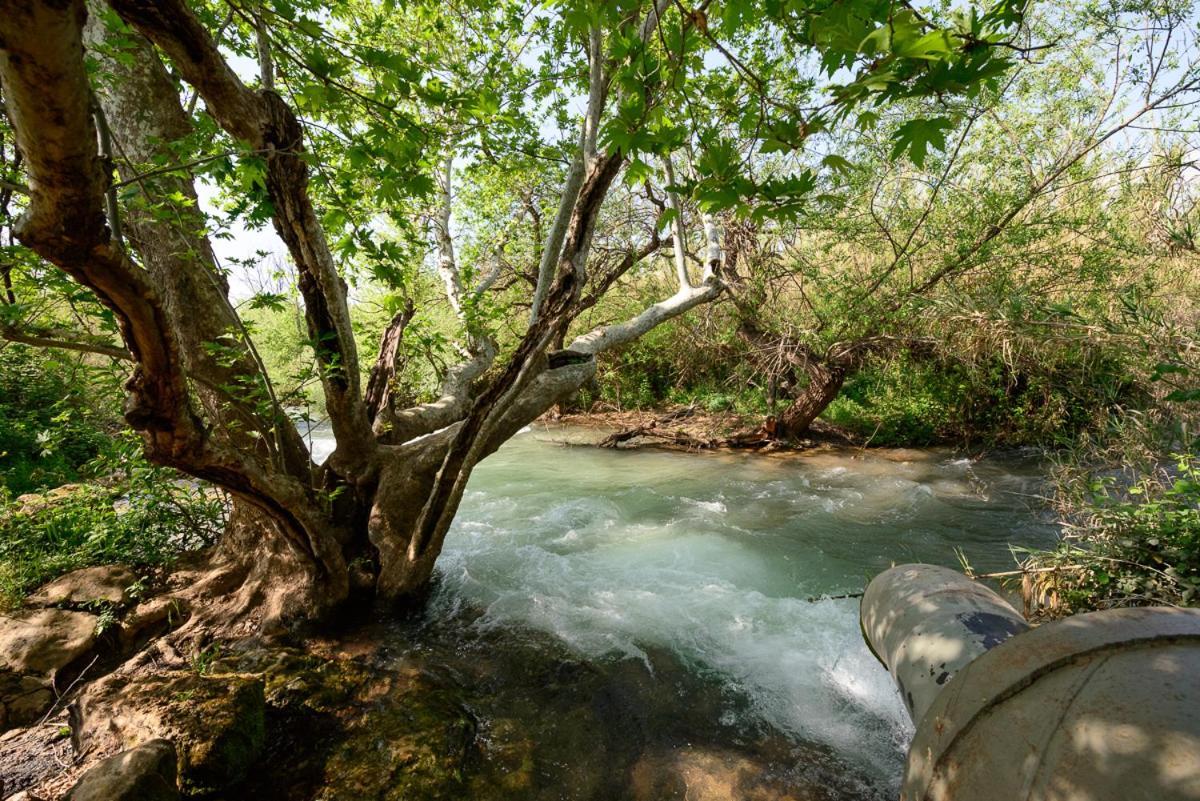 Magical In The Galilee Motell Qiryat Shemona Exteriör bild